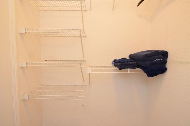 10265 Gandy Blvd N Unit 1409, Saint Petersburg, FL 33702 - view of spacious closet