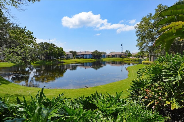 10265 Gandy Blvd N Unit 1409, Saint Petersburg, FL 33702 - water view with nearby suburban area
