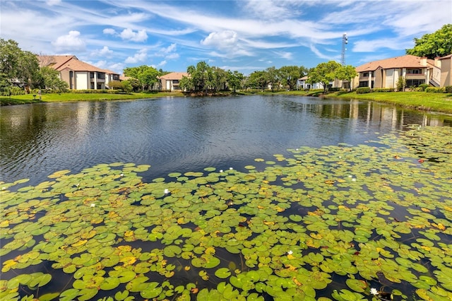 10265 Gandy Blvd N Unit 1409, Saint Petersburg, FL 33702 - water view with nearby suburban area