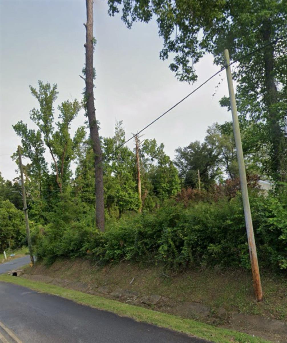 W Bonita St, Chattahoochee, FL 32324 - photo 1