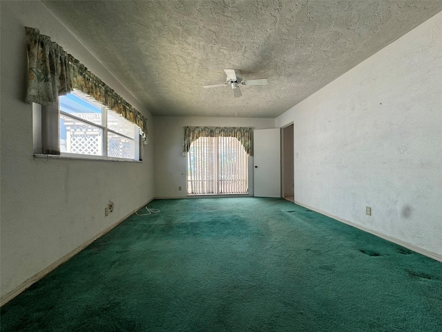 1135 81st St S, Saint Petersburg, FL 33707 - photo 4