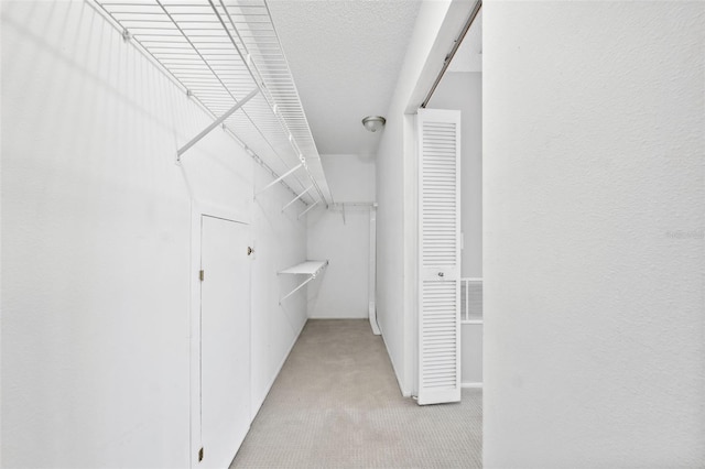 428 Klosterman Rd W, W, Palm Harbor, FL 34683 - spacious closet featuring light carpet