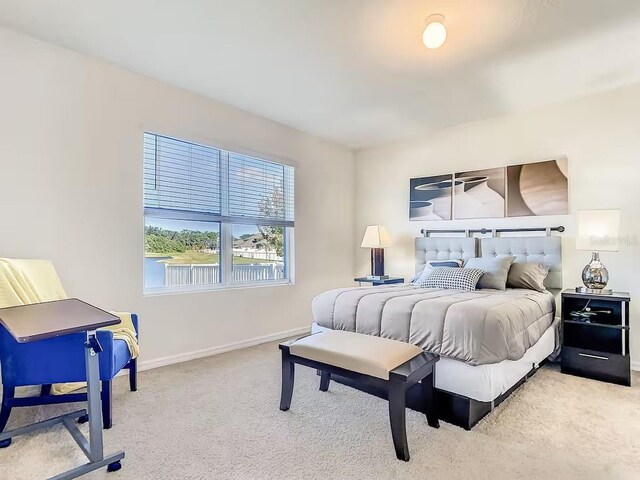 10024 Merry Fawn Ct, Sun City Center, FL 33573 - bedroom with carpet floors and baseboards