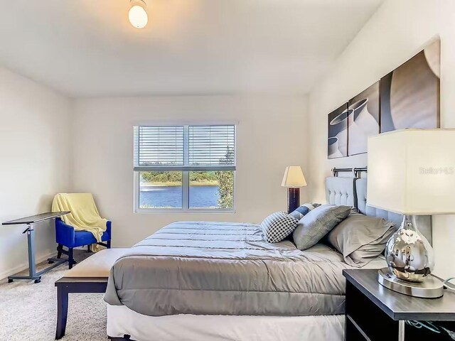 10024 Merry Fawn Ct, Sun City Center, FL 33573 - carpeted bedroom featuring baseboards