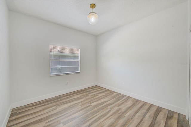 8304 N 13th St, Tampa, FL 33604 - photo 10