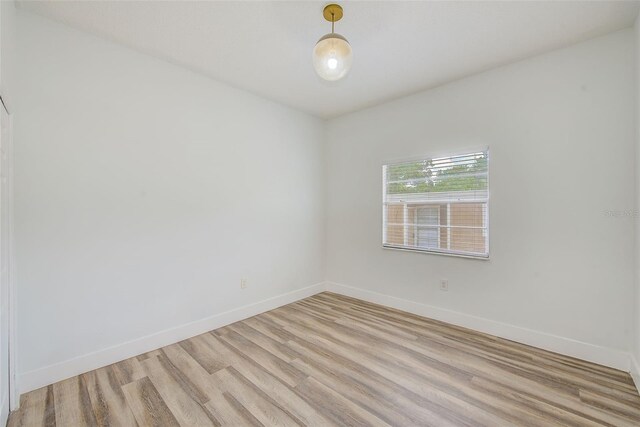 8304 N 13th St, Tampa, FL 33604 - photo 13
