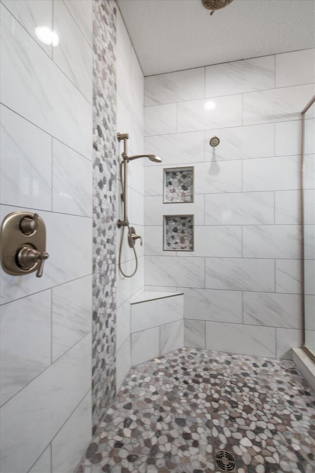 12415 Hitching St, Odessa, FL 33556 - bathroom with a tile shower