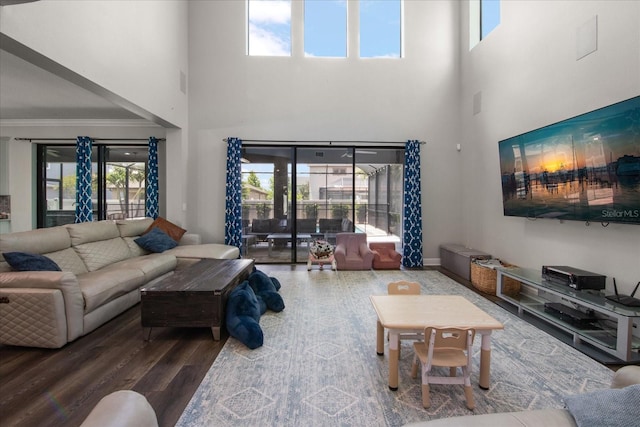 12415 Hitching St, Odessa, FL 33556 - living area featuring wood finished floors, a towering ceiling, plenty of natural light, and ornamental molding