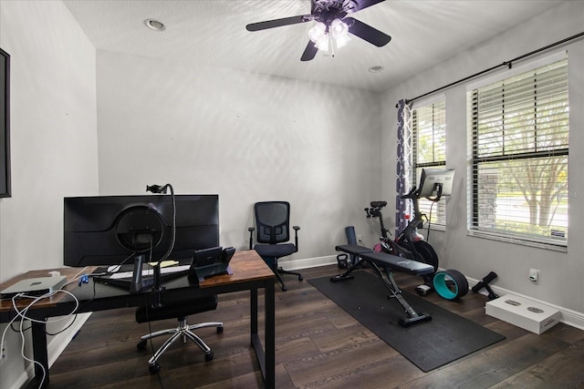 12415 Hitching St, Odessa, FL 33556 - office area with ceiling fan and wood finished floors