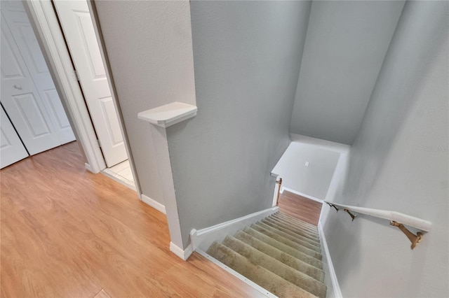 3455 Castle Stone Ct, Valrico, FL 33594 - staircase featuring wood finished floors