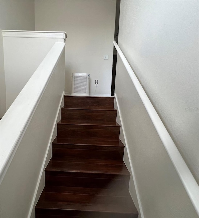 1247 Gentilly Ln, Wesley Chapel, FL 33544 - stairway with hardwood / wood-style floors