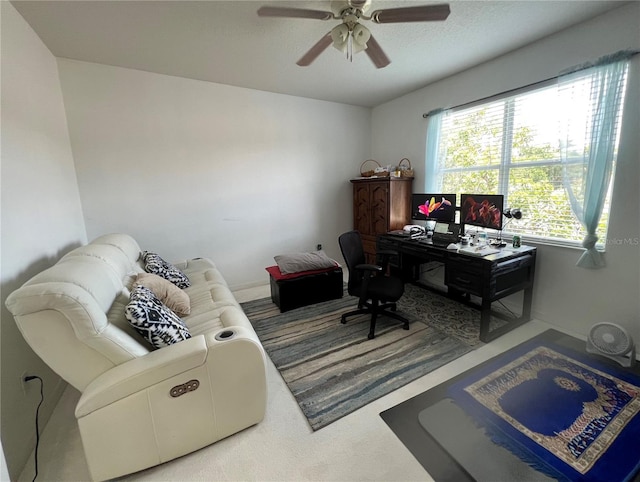 1247 Gentilly Ln, Wesley Chapel, FL 33544 - office featuring ceiling fan and carpet floors