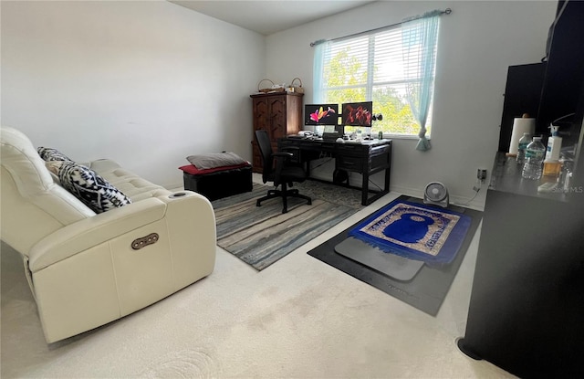 1247 Gentilly Ln, Wesley Chapel, FL 33544 - office space featuring carpet flooring