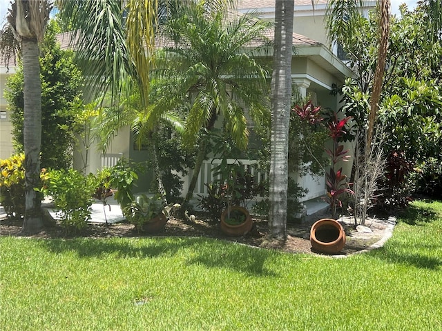1247 Gentilly Ln, Wesley Chapel, FL 33544 - view of home's exterior featuring stucco siding and a lawn