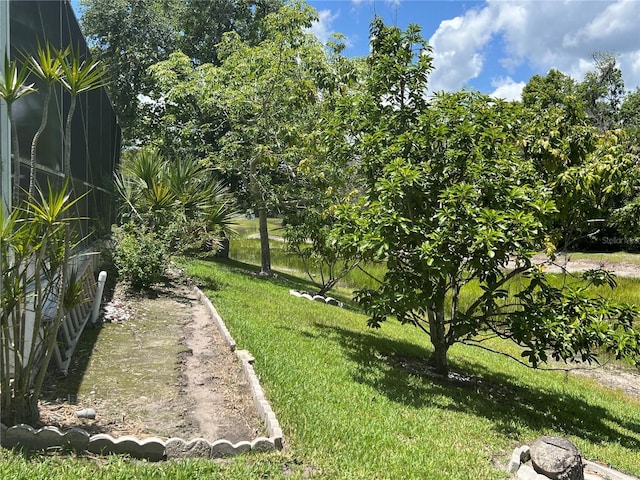 1247 Gentilly Ln, Wesley Chapel, FL 33544 - view of grassy yard