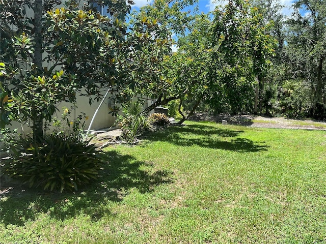 1247 Gentilly Ln, Wesley Chapel, FL 33544 - view of green lawn