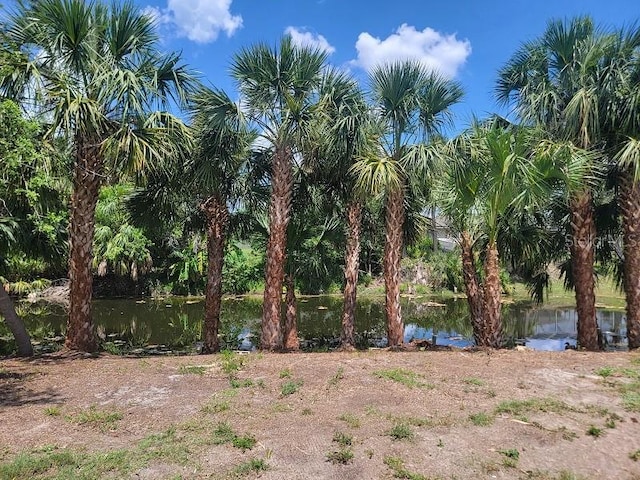 474 Hinton St, Port Charlotte, FL 33954 - photo 21