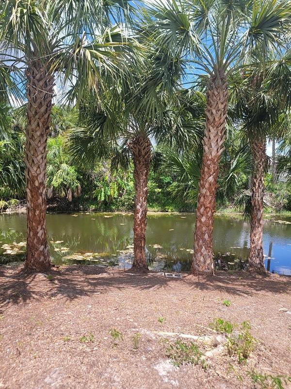 474 Hinton St, Port Charlotte, FL 33954 - photo 22