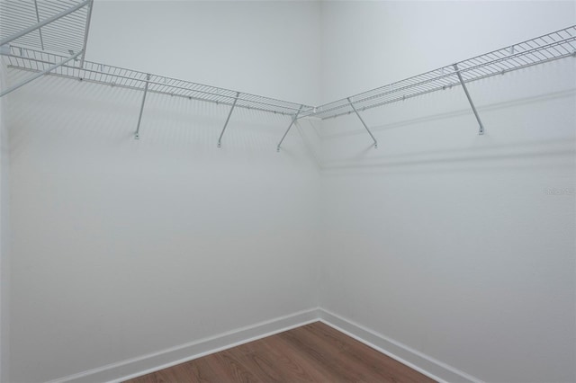 4146 Bexley Village Dr, Land O Lakes, FL 34638 - spacious closet featuring dark wood-style flooring