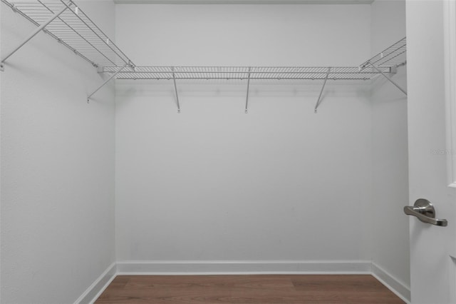 4146 Bexley Village Dr, Land O Lakes, FL 34638 - spacious closet with wood finished floors