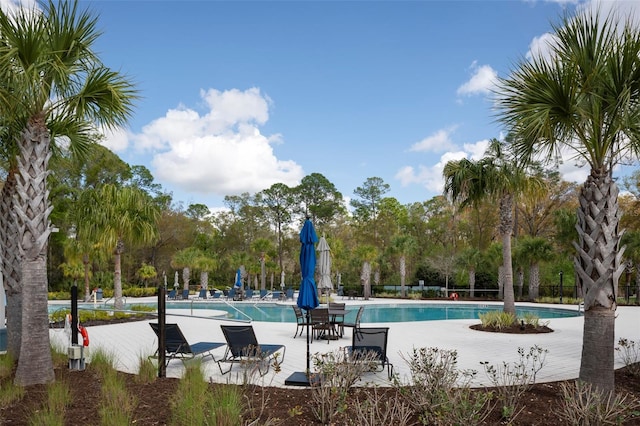 4146 Bexley Village Dr, Land O Lakes, FL 34638 - surrounding community featuring a swimming pool, view of wooded area, and a patio