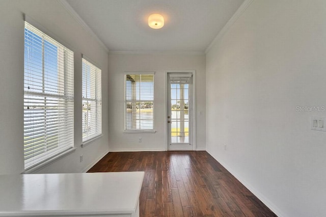 5205 Brighton Shore Dr, Apollo Beach, FL 33572 - empty room with dark wood-type flooring, crown molding, and a water view