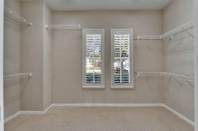 5205 Brighton Shore Dr, Apollo Beach, FL 33572 - spacious closet featuring carpet floors