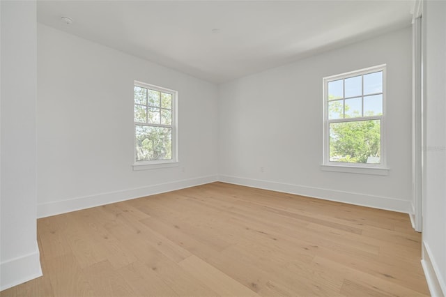 2910 11th St N, Saint Petersburg, FL 33704 - photo 33