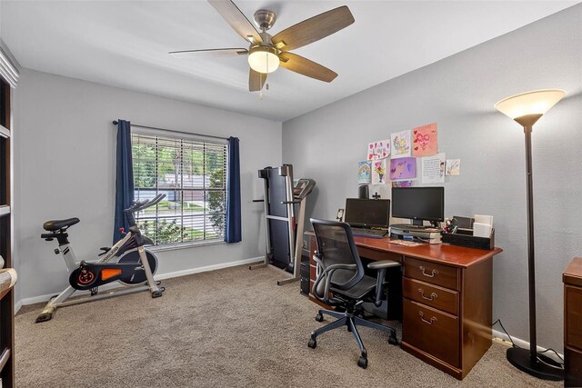 15925 Marshfield Dr, Tampa, FL 33624 - photo 31