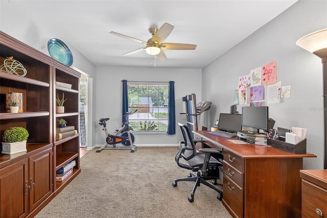 15925 Marshfield Dr, Tampa, FL 33624 - photo 30