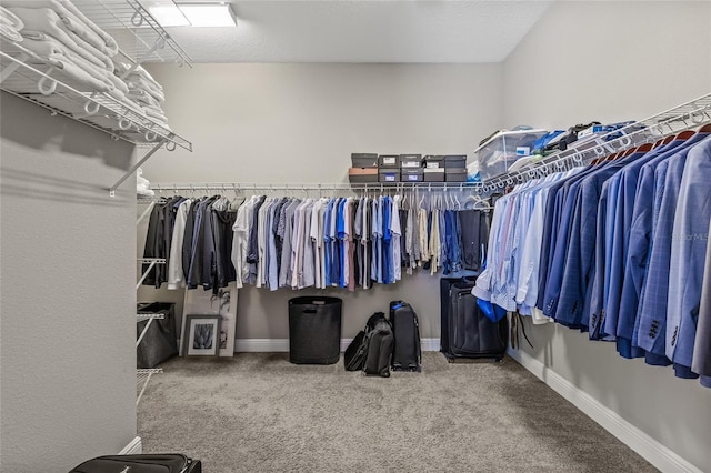7114 Bowspirit Pl, Apollo Beach, FL 33572 - spacious closet with carpet