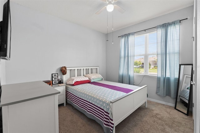13301 Waterleaf Garden Cir, Riverview, FL 33579 - carpeted bedroom featuring baseboards and ceiling fan