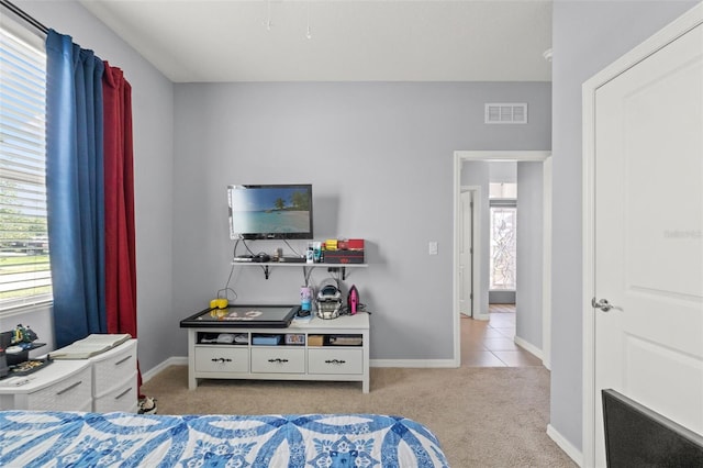 13301 Waterleaf Garden Cir, Riverview, FL 33579 - bedroom featuring carpet flooring and baseboards