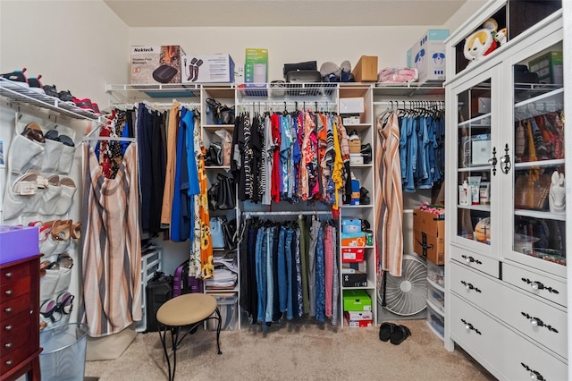 13301 Waterleaf Garden Cir, Riverview, FL 33579 - spacious closet with carpet floors