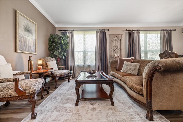165 Mobbly Bay Dr, Oldsmar, FL 34677 - living room featuring crown molding, healthy amount of natural light, and wood finished floors