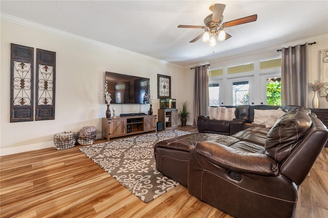 165 Mobbly Bay Dr, Oldsmar, FL 34677 - living room featuring crown molding, wood finished floors, ceiling fan, and a textured ceiling