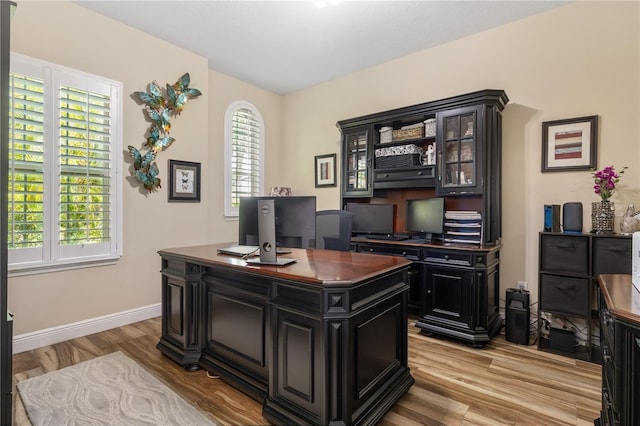 165 Mobbly Bay Dr, Oldsmar, FL 34677 - office featuring light wood-type flooring and baseboards