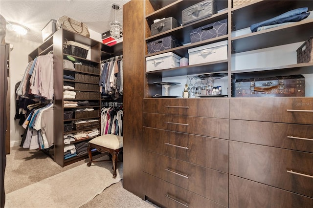 165 Mobbly Bay Dr, Oldsmar, FL 34677 - spacious closet with carpet flooring