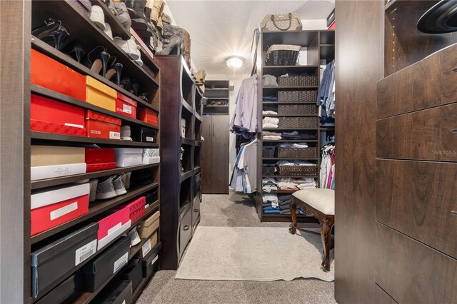 165 Mobbly Bay Dr, Oldsmar, FL 34677 - spacious closet with carpet flooring