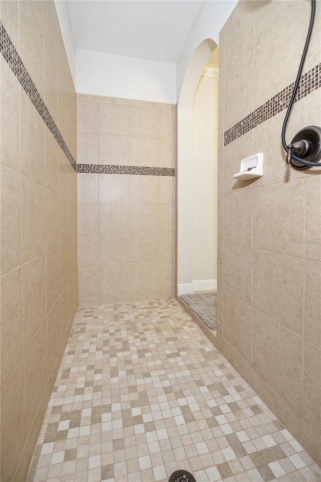 165 Mobbly Bay Dr, Oldsmar, FL 34677 - bathroom featuring tiled shower