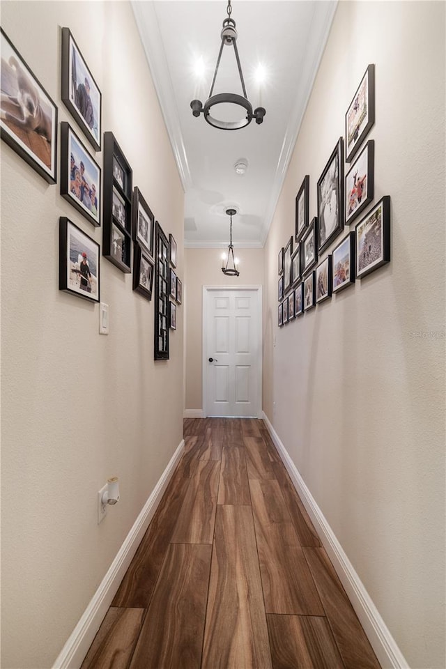 165 Mobbly Bay Dr, Oldsmar, FL 34677 - corridor featuring a chandelier, ornamental molding, and dark wood-style flooring