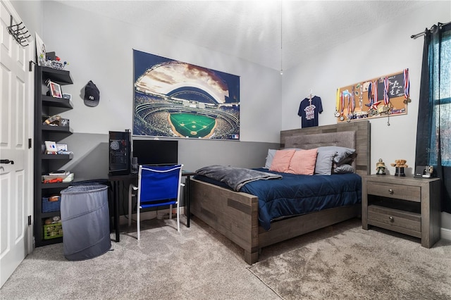 165 Mobbly Bay Dr, Oldsmar, FL 34677 - carpeted bedroom featuring a textured ceiling