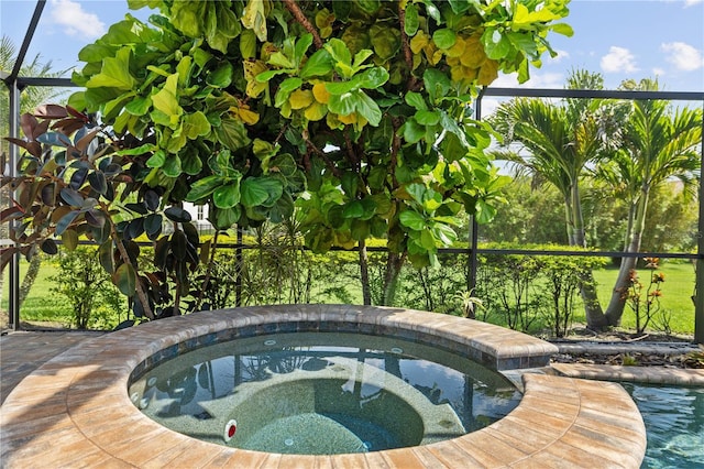 165 Mobbly Bay Dr, Oldsmar, FL 34677 - view of swimming pool featuring an in-ground hot tub