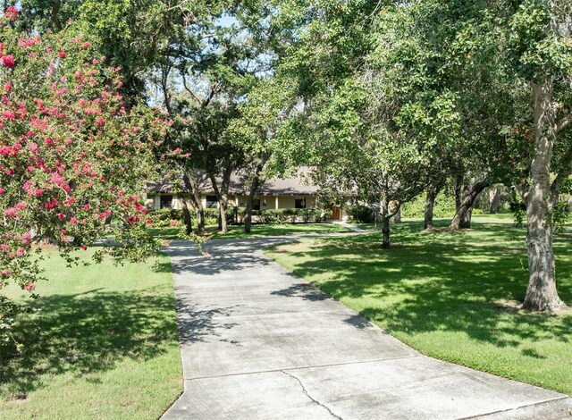 11307 Sandpine Rd, Riverview, FL 33569 - view of property's community featuring driveway and a lawn