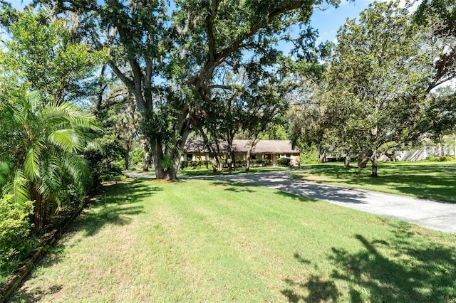 11307 Sandpine Rd, Riverview, FL 33569 - view of grassy yard