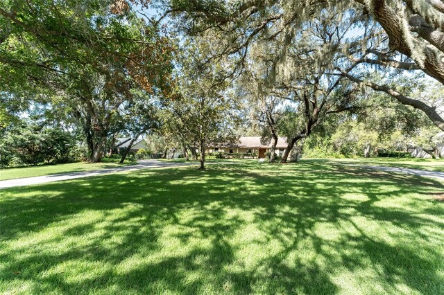 11307 Sandpine Rd, Riverview, FL 33569 - view of green lawn