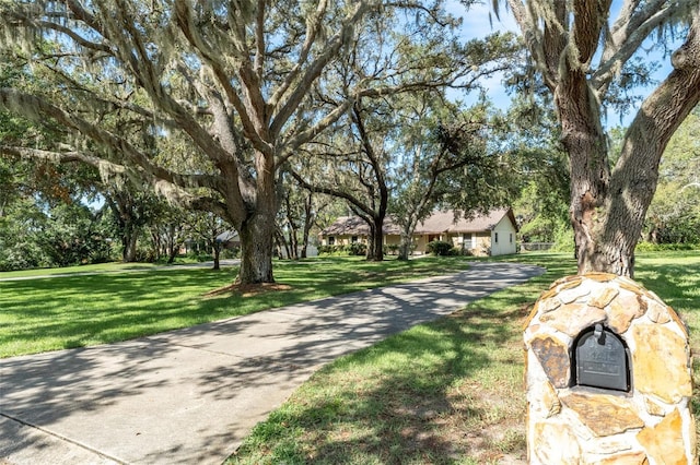 11307 Sandpine Rd, Riverview, FL 33569 - view of front facade featuring a front lawn