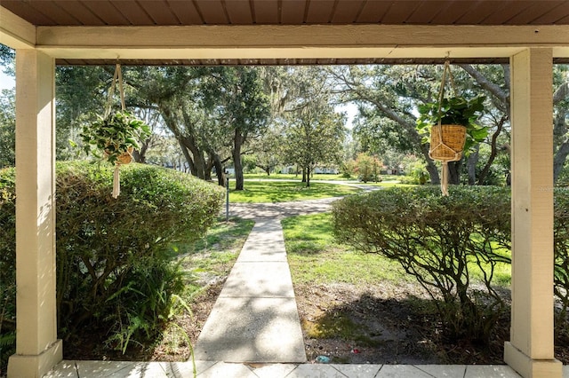 11307 Sandpine Rd, Riverview, FL 33569 - view of yard