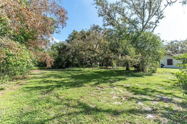 11307 Sandpine Rd, Riverview, FL 33569 - view of green lawn