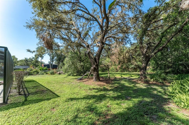 11307 Sandpine Rd, Riverview, FL 33569 - view of grassy yard